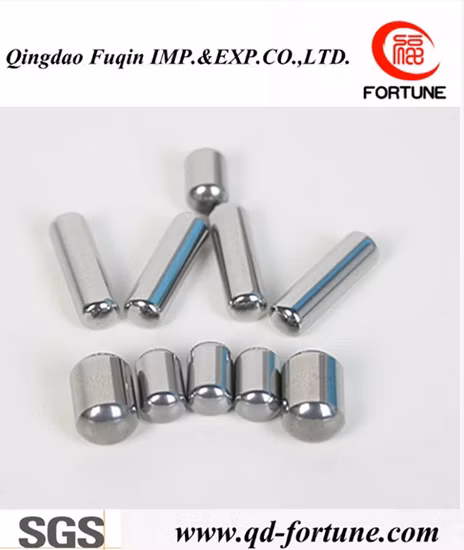 D25mm 25mm, High Precision 52100 100cr6suj2/420ss 440ss Tr (RC/ZRO) Tp Zb Cylindrical Roller Rollers Are Used in Aerospace, Medical Equipment, Wind Power