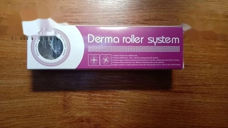 2019 Rullo Derma Micro Needle 540 più venduto
